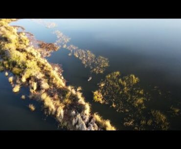 Spring bass fishing in FRANKS TRACT