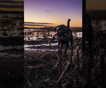 HPOWP 112: Kansas Hunt Wrap-up and Deep Dive