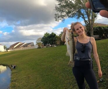 Pond Hoping Orlando (City Limits Bass Fishing) Big Bass Blow Ups