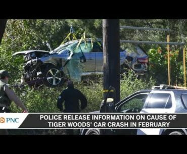 Police Release Information On Cause Of Tiger Woods' Car Crash In February