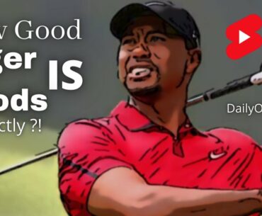 How Good is Tiger Woods Exactly ?! #shorts