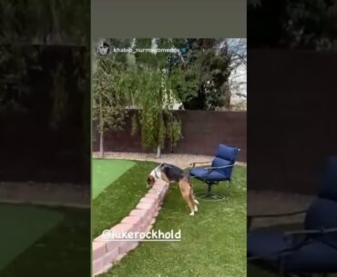 Khabib Trolling Luke Rockhold's Golf Game