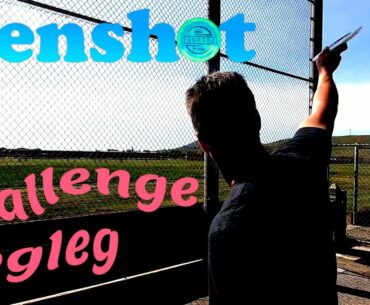 Disc Golf Challenge: DogLeg