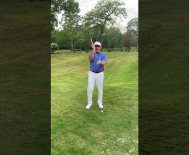 Low check lob wedge