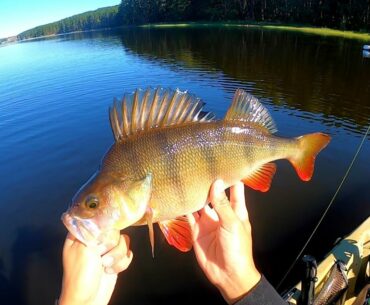 Myponga Reservoir Kayak Fishing