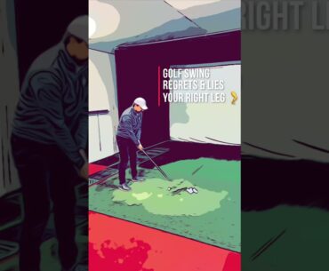 ***GOLF SWING SECRETS & LIES***