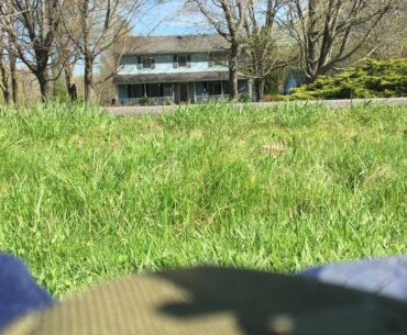 The Disc Golf Throw-In