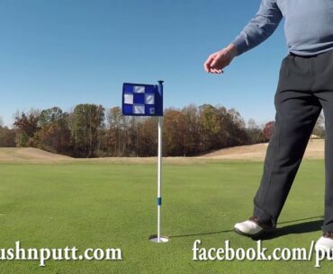 Push N Putt Interactive Golf Flagsticks all together on one Putting Green