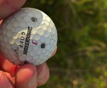 Hunting for golf balls.