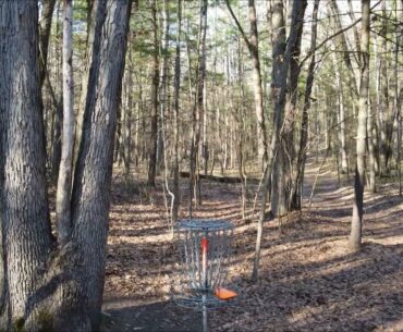 Wildwood 6 Long Tee Flyup 240 Ft | Disc Golf