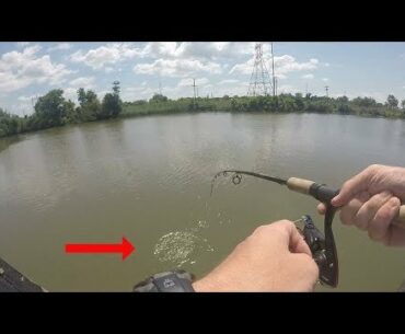 Catching Catfish and LOSING A BIG FISH!!!