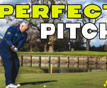 Perfect Pitch - Distance Control Lesson