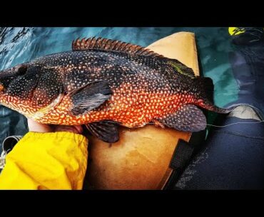 PECHE du BORD et en FLOAT TUBE en MER aux LEURRES