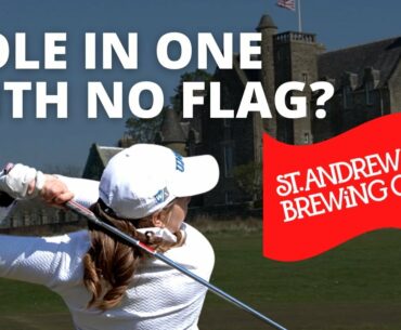 CAN I MAKE A HOLE IN ONE WITH NO FLAG?