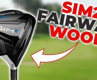 SIM2 Fairway Wood Review
