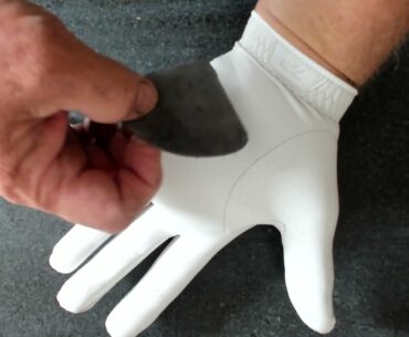 The Paw Patch