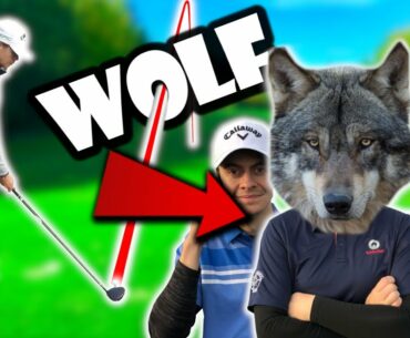 WOLF GOLF MATCH...wir wurden gefressen! warum?! [Golf Course Vlog]