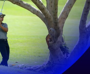 Garrick Higgo loses golf ball in palm tree | Round 2 Highlights | 2021 Tenerife Open