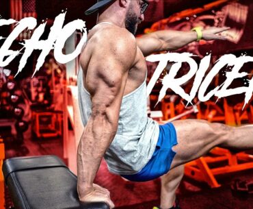 Rutina de PECHO Y TRICEPS BESTIAL (Lunes) - gymtopz