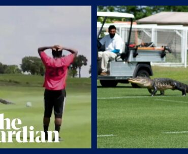 Alligator interrupts Toronto FC training session: 'It's good to be in Florida'