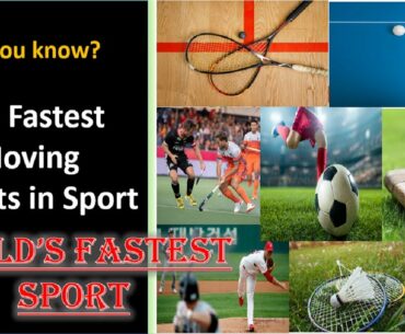 World's Fastest Moving Object in Sport: Table-Tennis Ball Or Badminton Birdie Or a Golf Ball #shorts