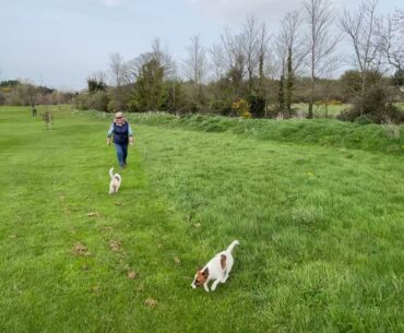 Sunday walk at golf club
