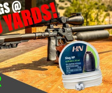 100 YARDS H&N SLUGS - AEA HP VARMINT! 25 CAL WITH 75+ FOOT POUNDS! and LASER ACCURATE!