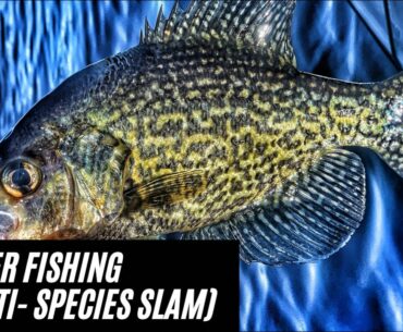 Winter Fishing NJ (Multi-Species Slam)