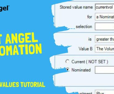 Bet Angel | Automated Betfair trading | Using stored values
