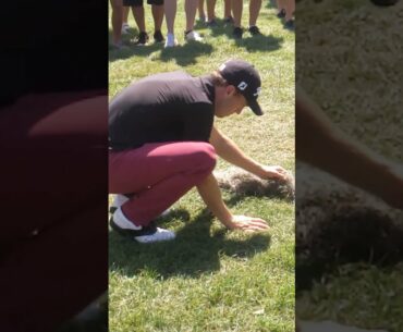 Justin Thomas performing surgery/golf magic after getting his ball tangled in spanish moss PGA