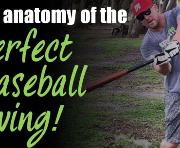 The 7 Steps to the Perfect Baseball Swing