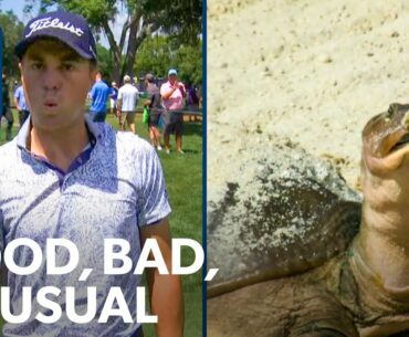 A puzzled turtle, JT gets robbed, record hole-outs & Hovland hits lefty