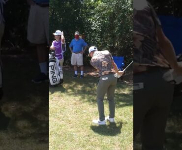 PGA golfer Viktor Hovland with a clutch pitch!