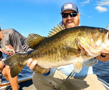 Shaky Head Worms For BIG Bass!! Post Spawn Bass Fishing Madness!