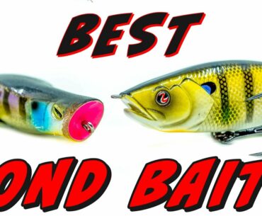 Pond Fishing For Bass: 5 Tips To Catch More Fish!