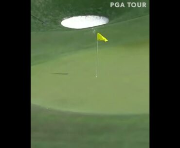 Golfing Shorts - Part 14 #Shorts