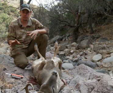 How to Field Dress a Deer with Steven Rinella - MeatEater