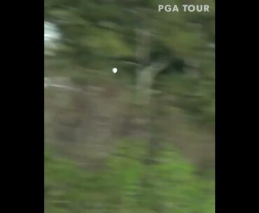 Golfing Shorts - Part 15 #Shorts