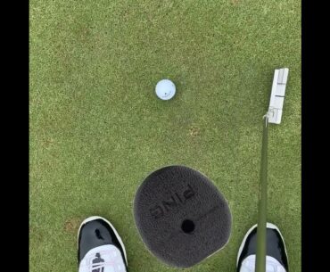 Putter Twist (shorts)
