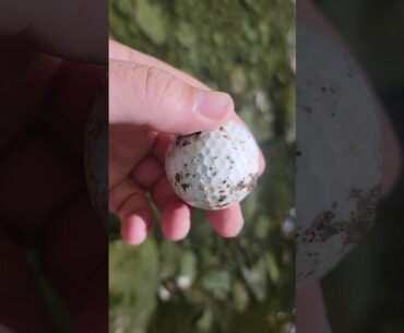 how to find free golf balls