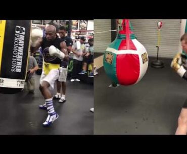 FLOYD MAYWEATHER VS CANELO ALVAREZ SIDE BY SIDE - BOTH IN THEIR PRIME WHO WOULD HAVE WON?