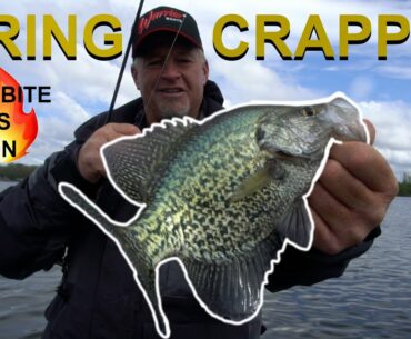 SPRING CRAPPIES on Beaver Dam (How to Crappie Fish Shallow Waters)
