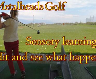 More grinding and experimenting with the driver ... Sensory learning