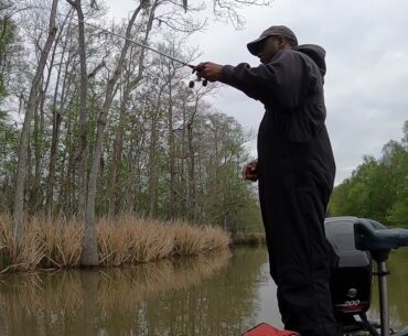 Amelia Bass Fishing in March