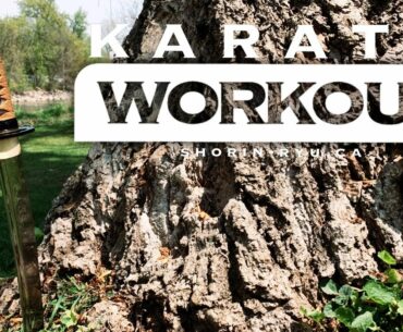 Karate Workout - May 22 2021