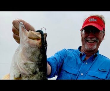 Postspawn Bass Fishing Tactics
