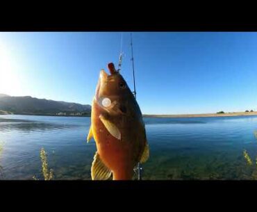 Nearly Got Hit by a Golf Ball While Fishing!!