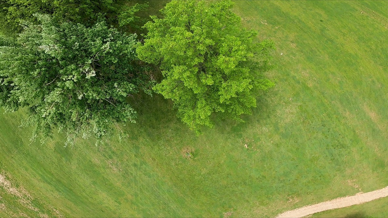 What A Day….what a day…. What A Day....what a day....