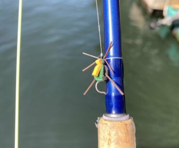 Japanese Beetle Dry Fly on Lake Taneycomo