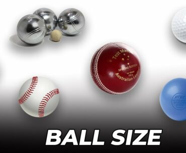 Comparison : Sports Ball size #1